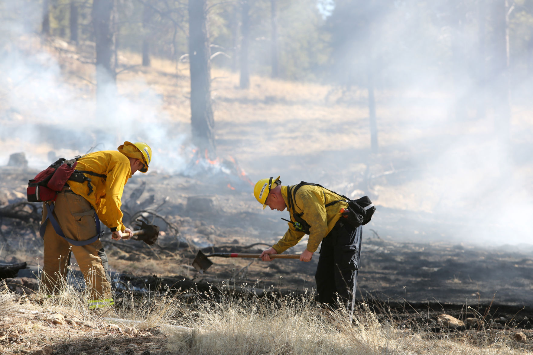 Feb Fire
